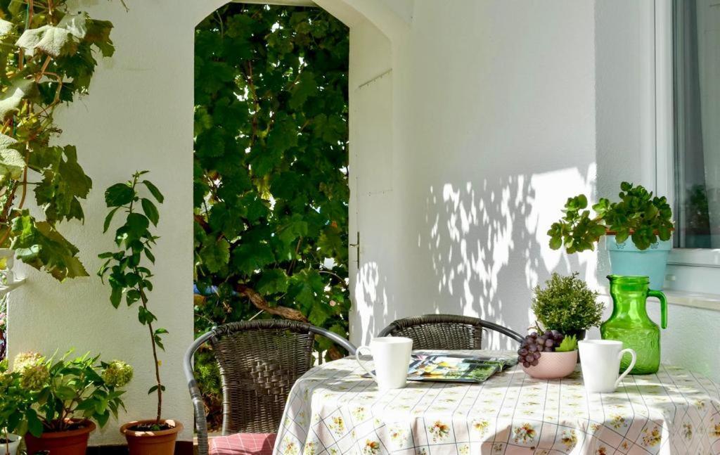 Apartments Nina Vinisce
